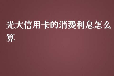 光大信用卡的消费利息怎么算_https://wap.fcdydaikuan.com_投资策略_第1张
