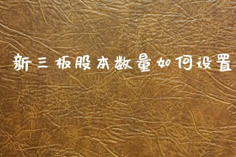 新三板股本数量如何设置_https://wap.fcdydaikuan.com_投资策略_第1张
