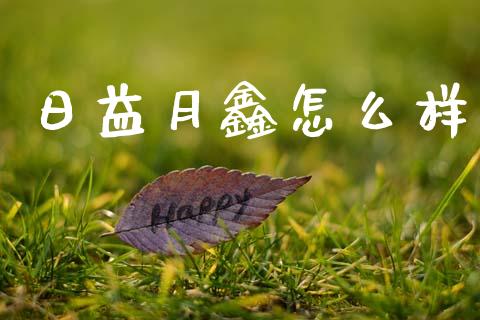 日益月鑫怎么样_https://wap.fcdydaikuan.com_金融机构_第1张