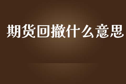 期货回撤什么意思_https://wap.fcdydaikuan.com_投资策略_第1张