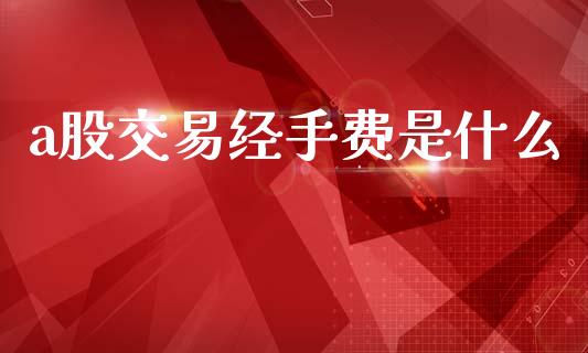 a股交易经手费是什么_https://wap.fcdydaikuan.com_国际投资_第1张
