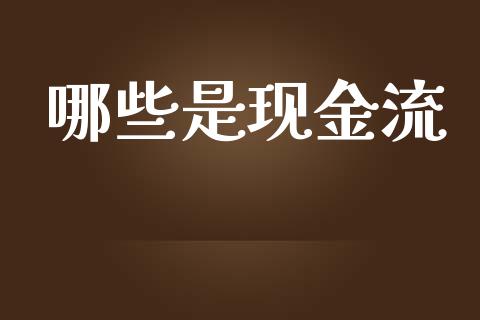 哪些是现金流_https://wap.fcdydaikuan.com_国际投资_第1张