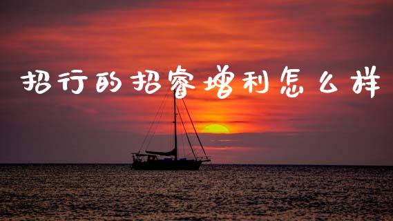 招行的招睿增利怎么样_https://wap.fcdydaikuan.com_投资策略_第1张