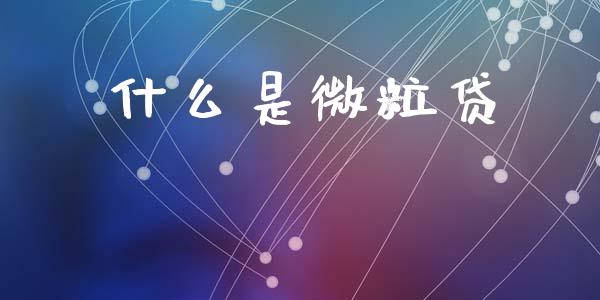 什么是微粒贷_https://wap.fcdydaikuan.com_国际投资_第1张