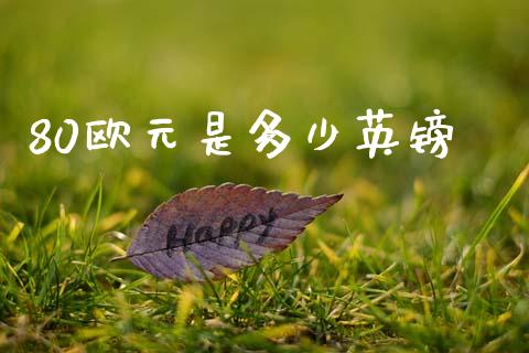 80欧元是多少英镑_https://wap.fcdydaikuan.com_投资策略_第1张