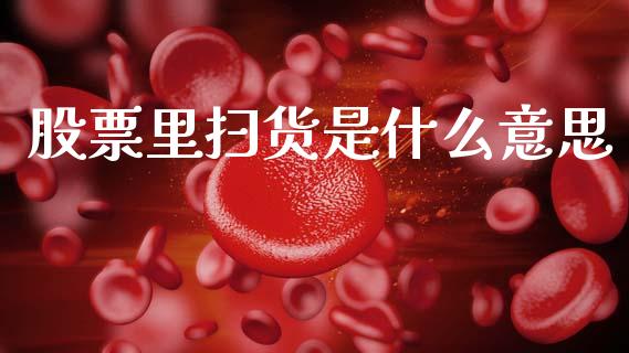 股票里扫货是什么意思_https://wap.fcdydaikuan.com_金融机构_第1张