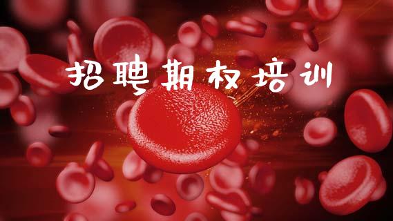 招聘期权培训_https://wap.fcdydaikuan.com_金融机构_第1张