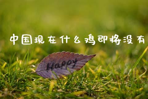 中国现在什么鸡即将没有_https://wap.fcdydaikuan.com_金融机构_第1张
