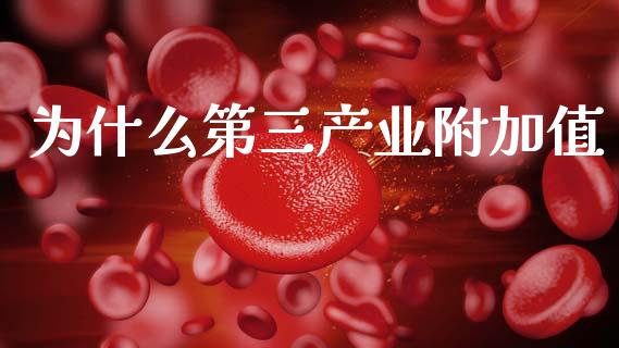 为什么第三产业附加值_https://wap.fcdydaikuan.com_期货品种_第1张