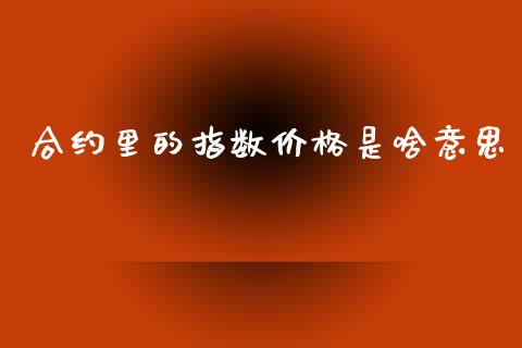 合约里的指数价格是啥意思_https://wap.fcdydaikuan.com_投资策略_第1张