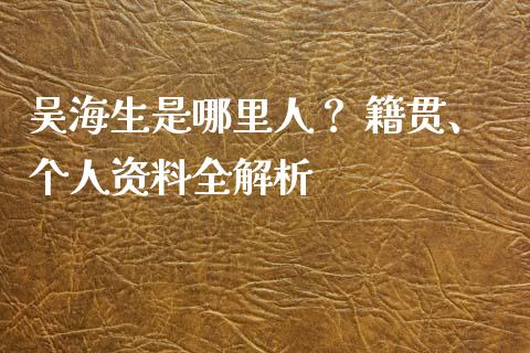 吴海生是哪里人？ 籍贯、个人资料全解析_https://wap.fcdydaikuan.com_金融机构_第1张