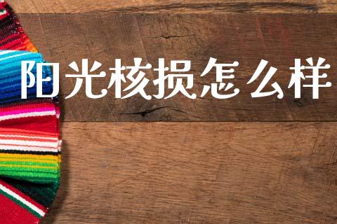阳光核损怎么样_https://wap.fcdydaikuan.com_期货品种_第1张