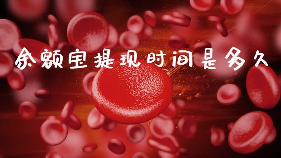 余额宝提现时间是多久_https://wap.fcdydaikuan.com_投资策略_第1张