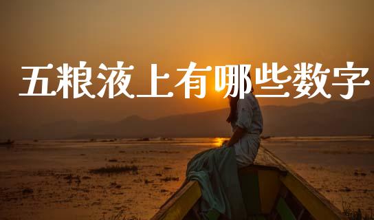 五粮液上有哪些数字_https://wap.fcdydaikuan.com_国际投资_第1张