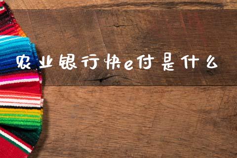 农业银行快e付是什么_https://wap.fcdydaikuan.com_期货品种_第1张