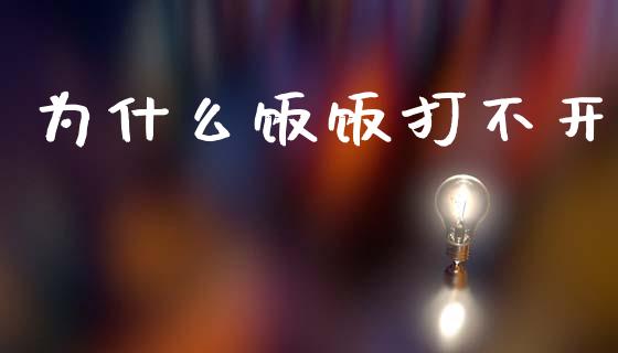 为什么饭饭打不开_https://wap.fcdydaikuan.com_投资策略_第1张