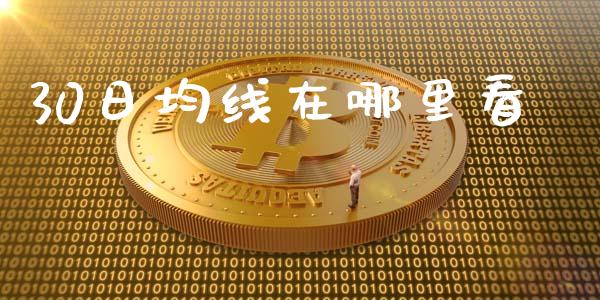 30日均线在哪里看_https://wap.fcdydaikuan.com_金融机构_第1张