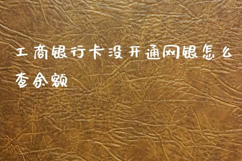 工商银行卡没开通网银怎么查余额_https://wap.fcdydaikuan.com_金融机构_第1张