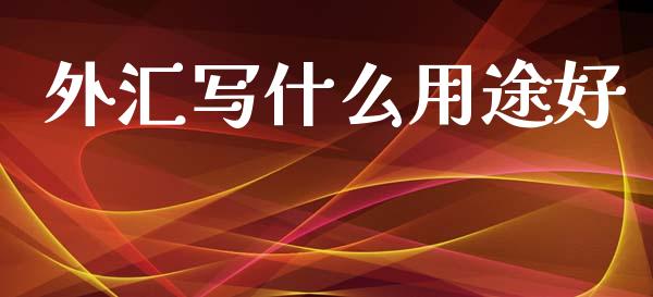 外汇写什么用途好_https://wap.fcdydaikuan.com_投资策略_第1张