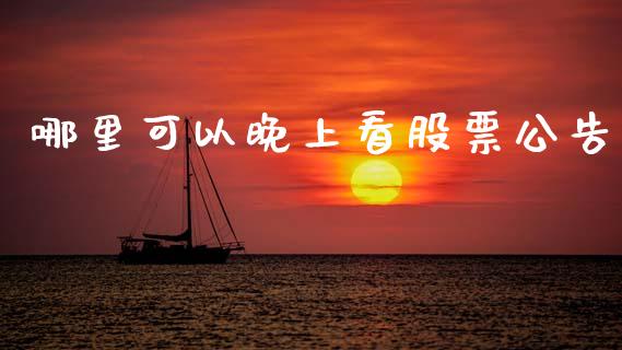 哪里可以晚上看股票公告_https://wap.fcdydaikuan.com_投资策略_第1张
