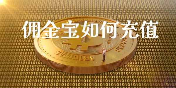 佣金宝如何充值_https://wap.fcdydaikuan.com_期货品种_第1张