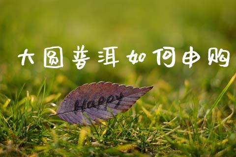 大圆普洱如何申购_https://wap.fcdydaikuan.com_理财顾问_第1张