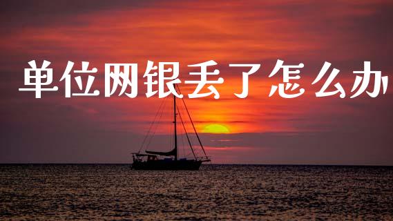 单位网银丢了怎么办_https://wap.fcdydaikuan.com_投资策略_第1张