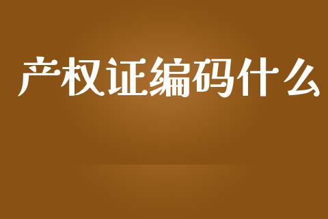 产权证编码什么_https://wap.fcdydaikuan.com_投资策略_第1张