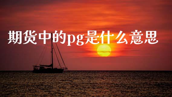 期货中的pg是什么意思_https://wap.fcdydaikuan.com_投资策略_第1张