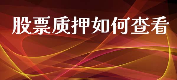 股票质押如何查看_https://wap.fcdydaikuan.com_新股数据_第1张