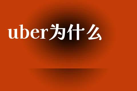 uber为什么_https://wap.fcdydaikuan.com_新股数据_第1张