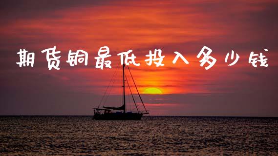 期货铜最低投入多少钱_https://wap.fcdydaikuan.com_理财顾问_第1张