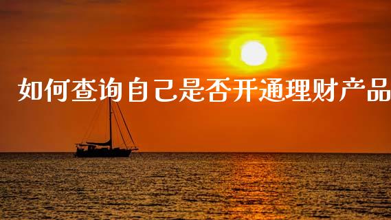 如何查询自己是否开通理财产品_https://wap.fcdydaikuan.com_国际投资_第1张