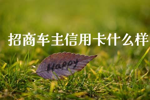 招商车主信用卡什么样_https://wap.fcdydaikuan.com_新股数据_第1张