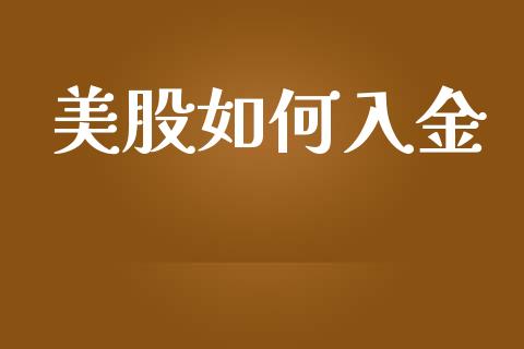 美股如何入金_https://wap.fcdydaikuan.com_新股数据_第1张