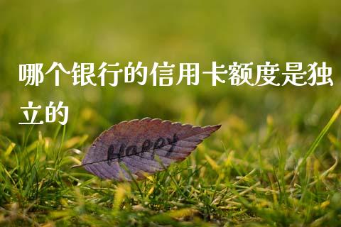 哪个银行的信用卡额度是独立的_理财顾问_第1张_国际投资_理财顾问_投资策略_金融机构 哪个银行的信用卡额度是独立的_https://wap.fcdydaikuan.com_理财顾问_第1张