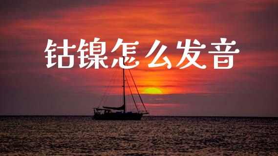 钴镍怎么发音_https://wap.fcdydaikuan.com_金融机构_第1张