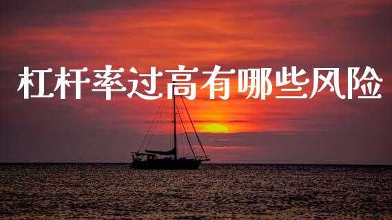 杠杆率过高有哪些风险_https://wap.fcdydaikuan.com_理财顾问_第1张