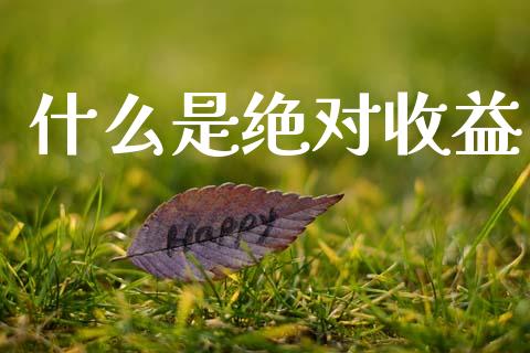什么是绝对收益_https://wap.fcdydaikuan.com_期货品种_第1张
