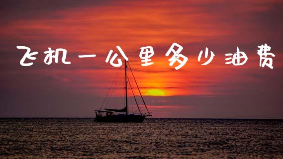 飞机一公里多少油费_https://wap.fcdydaikuan.com_投资策略_第1张