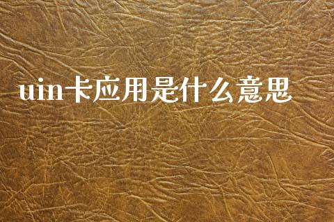 uin卡应用是什么意思_https://wap.fcdydaikuan.com_投资策略_第1张