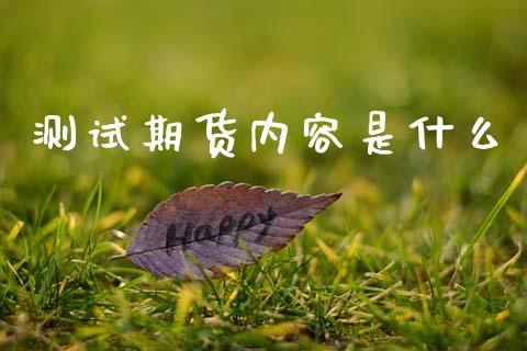 测试期货内容是什么_https://wap.fcdydaikuan.com_新股数据_第1张