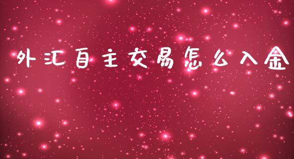 外汇自主交易怎么入金_https://wap.fcdydaikuan.com_金融机构_第1张
