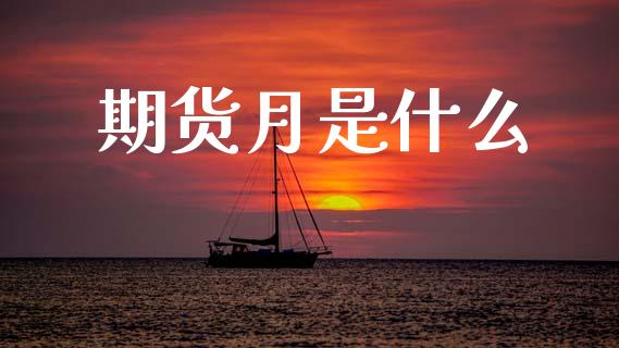 期货月是什么_https://wap.fcdydaikuan.com_理财顾问_第1张