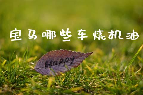 宝马哪些车烧机油_https://wap.fcdydaikuan.com_新股数据_第1张