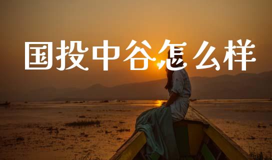 国投中谷怎么样_https://wap.fcdydaikuan.com_期货品种_第1张