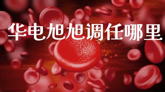 华电旭旭调任哪里_https://wap.fcdydaikuan.com_新股数据_第1张