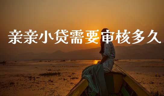亲亲小贷需要审核多久_https://wap.fcdydaikuan.com_理财顾问_第1张