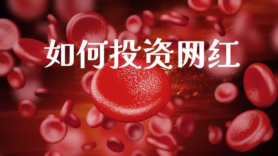 如何投资网红_https://wap.fcdydaikuan.com_投资策略_第1张