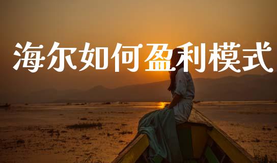 海尔如何盈利模式_https://wap.fcdydaikuan.com_期货品种_第1张